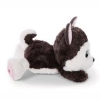 Nici GLUBSCHIS Husky Barkley liegend | Kuscheltier.Boutique