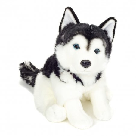 Hermann TEDDY Husky schwarz-weiß, sitzend | Kuscheltier.Boutique