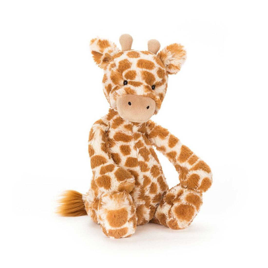 Jellycat Giraffe Bashful Giraffe Vorderseite | Kuscheltier.Boutique