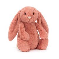 Jellycat Hase Bashful Sorrel Bunny Vorderseite | Kuscheltier.Boutique