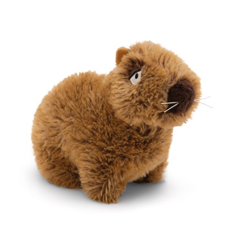 NICI Wild Friends Wasserschwein Capy-Barbara Capybara 17cm | Kuscheltier.Boutique