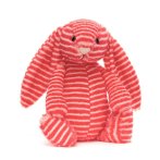 Jellycat Hase Bashful Evey Bunny Vorderseite | Kuscheltier.Boutique