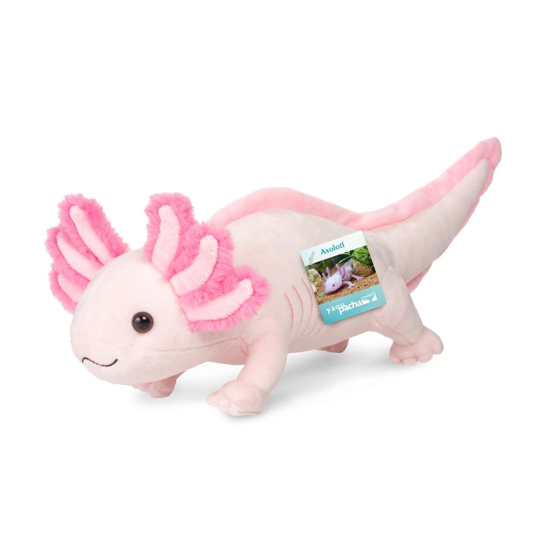 Hermann TEDDY Axolotl rosa  Vorderseite | Kuscheltier.Boutique